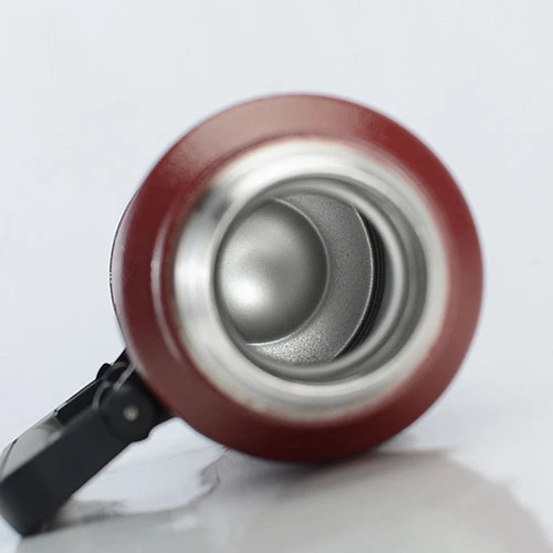 Water Bottle With Handle